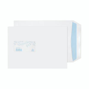 Evolve Env C5 Wd Ss 100G Wh PK500