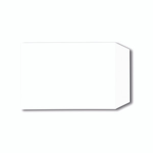 C5 Pkt Env Sseal 229X162MM WHT PK500