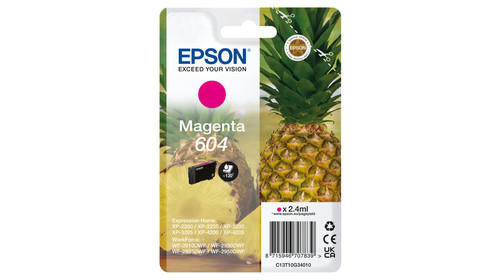 Epson EPSON PINEAPPLE 604 MAGETNA SINGLEPACK INK