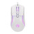 Various Marvo Scorpion M292 Capo 20 USB RGB Programmable Gaming Mouse (White), close-up view showing the ergonomic design, customizable RGB lighting, and programmable buttons for gaming.