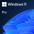 Various Microsoft Windows 11 Professional 64bit English OEI DVD Operating Software OEM, packaging box with Windows 11 Pro branding and digital design background.