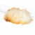 Lambswool Duster 61CM