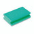 Green Finger Grip Scourers PK10