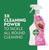Dettol Mpps Cleaner Pom/Lime 1L PK6