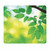 Fellowes RCYC Mouse Mat Leaf Print
