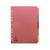 Concord Pastel A4 5-PART Sub Dvdrs