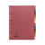 Product CW Office Concord DVD 12-Part A4 160GSM Multi Color File Dividers, pink file with multi color tab dividers for organizing documents.