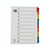 A4 Mylar Index 1-10 Assorted