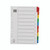 Np A4 Mylar Divider 10PART Multi