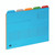 CW Office Oxford 5 Tabbed Folder A4 ASS PK5, colorful blue file folder with five colored tabs for organizing documents.
