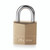 CW Office Master Lock 40MM Brass Padlock, close-up image of a brass padlock with a silver shackle engraved with the word 'Master' on the body.