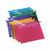 Rexel Susp File A4 30MM AST PK10