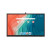 CW Office Newline TT-7523QCA+ 75" Elara Pro Android 13, Cast+, Interactive Touch Screen with Camera, front view of a large interactive display with a black bezel and colorful Android home screen