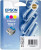  Epson Singlepack Colour T0670 