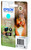  Epson Squirrel Singlepack Cyan 378 Claria Photo HD Ink 
