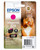 Epson Squirrel Singlepack Magenta 378 Claria Photo HD Ink - main product image