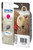 Epson Teddybear Singlepack Magenta T0613 DURABrite Ultra Ink Ink Cartridge - packaging
