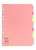 Cartridge World Subject Divider A4 12 Part Pastel 