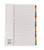 Cartridge World Index White Multicolour Tabs 1-20 