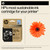 HP 924E EvoMore Ink Cartridge Black (4K0V0NE) - alternative angle