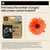 HP 924E EvoMore Ink Cartridge Black (4K0V0NE) - close-up