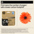  HP 937e EvoMore Black Ink Cartridge (4S6W9NE) 