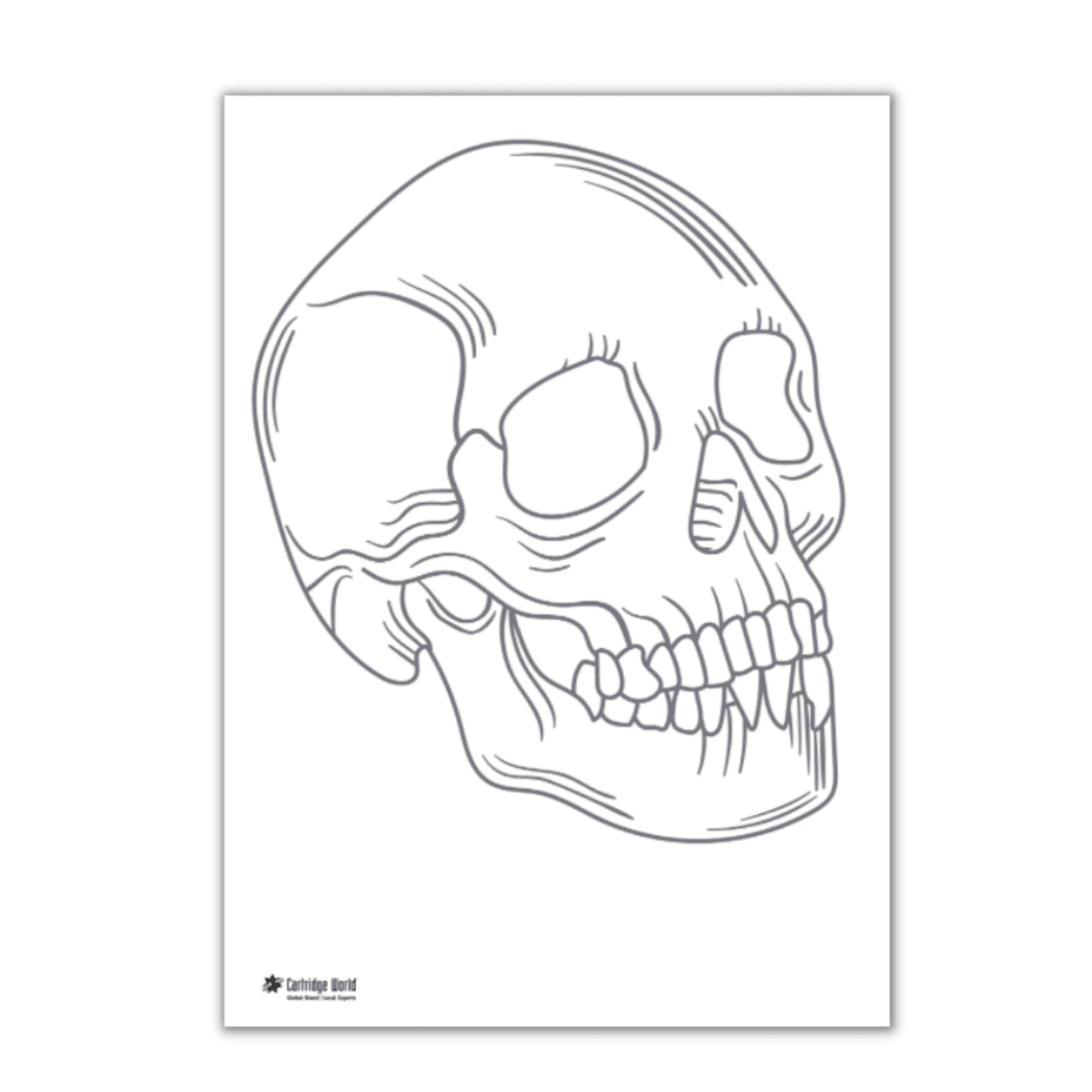 colour in skull