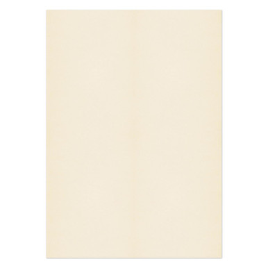 Prem Cream Wove A4 120gsm PK500 - A4 - Business Paper