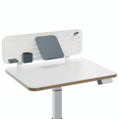 Leitz Ergo Pegbrd Desk Org W/Holder - -