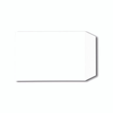 C5 Pkt Env Sseal 229X162MM WHT PK500 - -