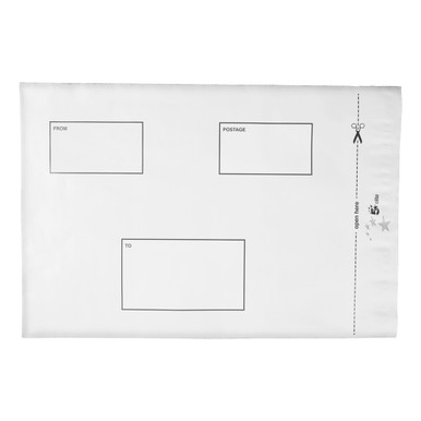 Wpf Polythene Env Plsl 245X320 PK100 - -