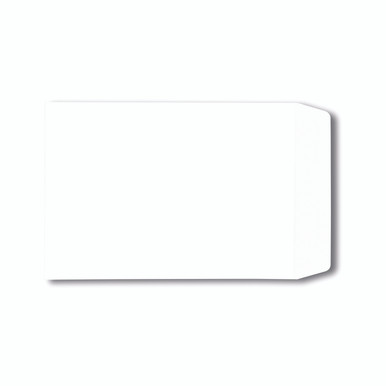 C4 Pkt Env Sseal WHT PK250 - -