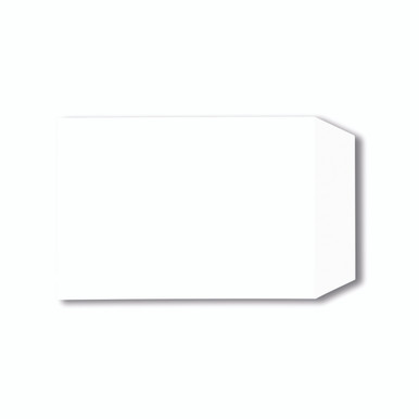C5 Pkt Env Plsl 229X162MM WHT PK500 - -