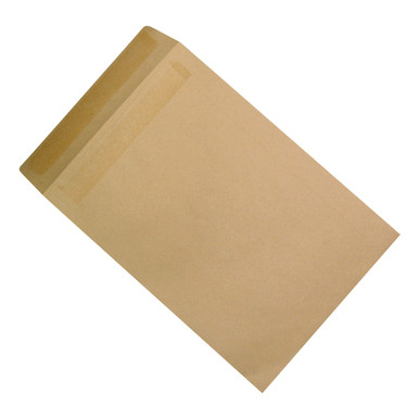 C4 Pkt Env Sseal Manilla PK250 - -