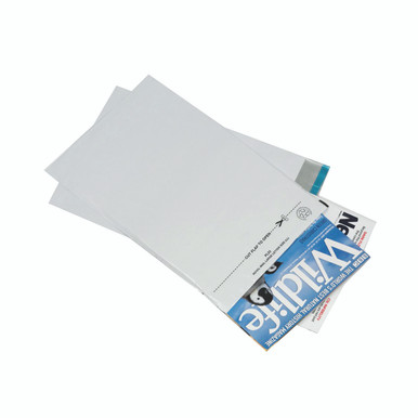 Gosecure Env 235X310 Lwt Polt PK100 - -