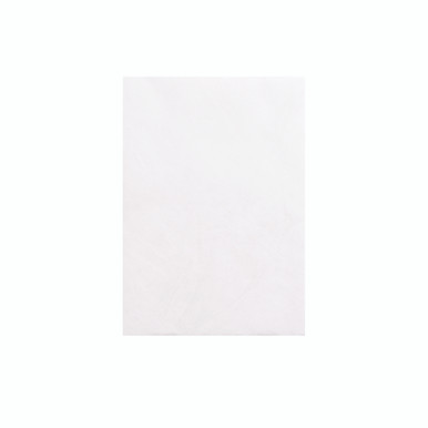 Tyvek Peal/Seal Env C5 WHT PK100 - -