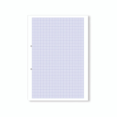 Graph PPR 10MM 1000P Pchd 2HL A4 PK5 - -