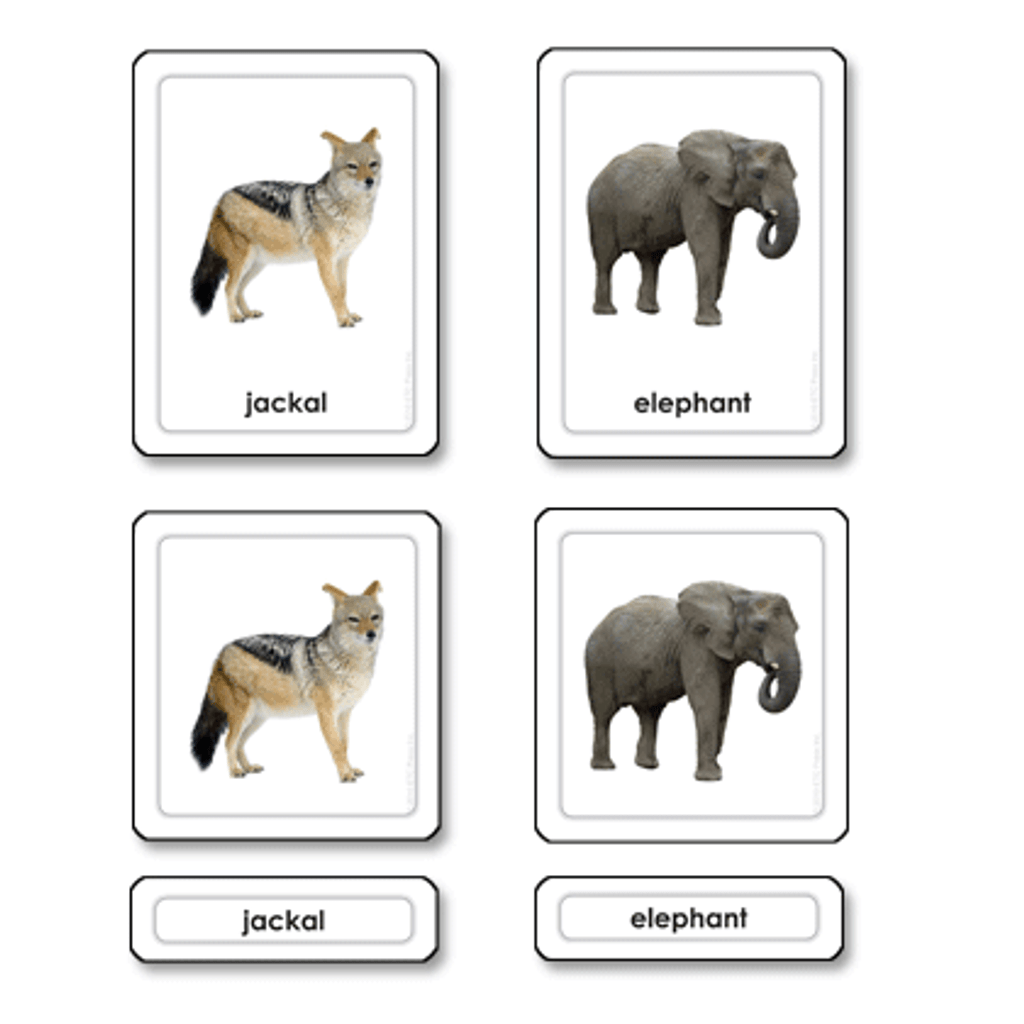 African Animals - 3 Part Cards