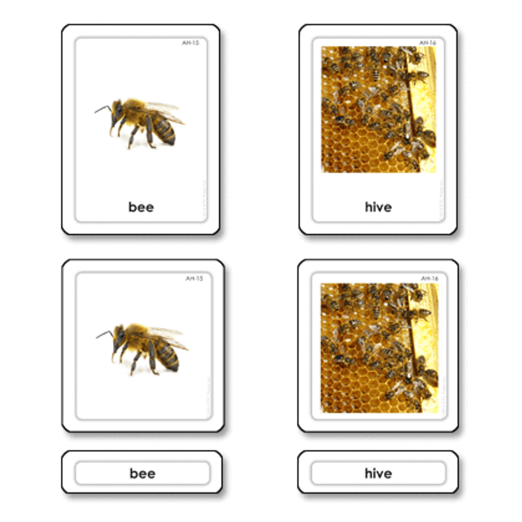 Animal homes 3 part cards (printed on pvc)