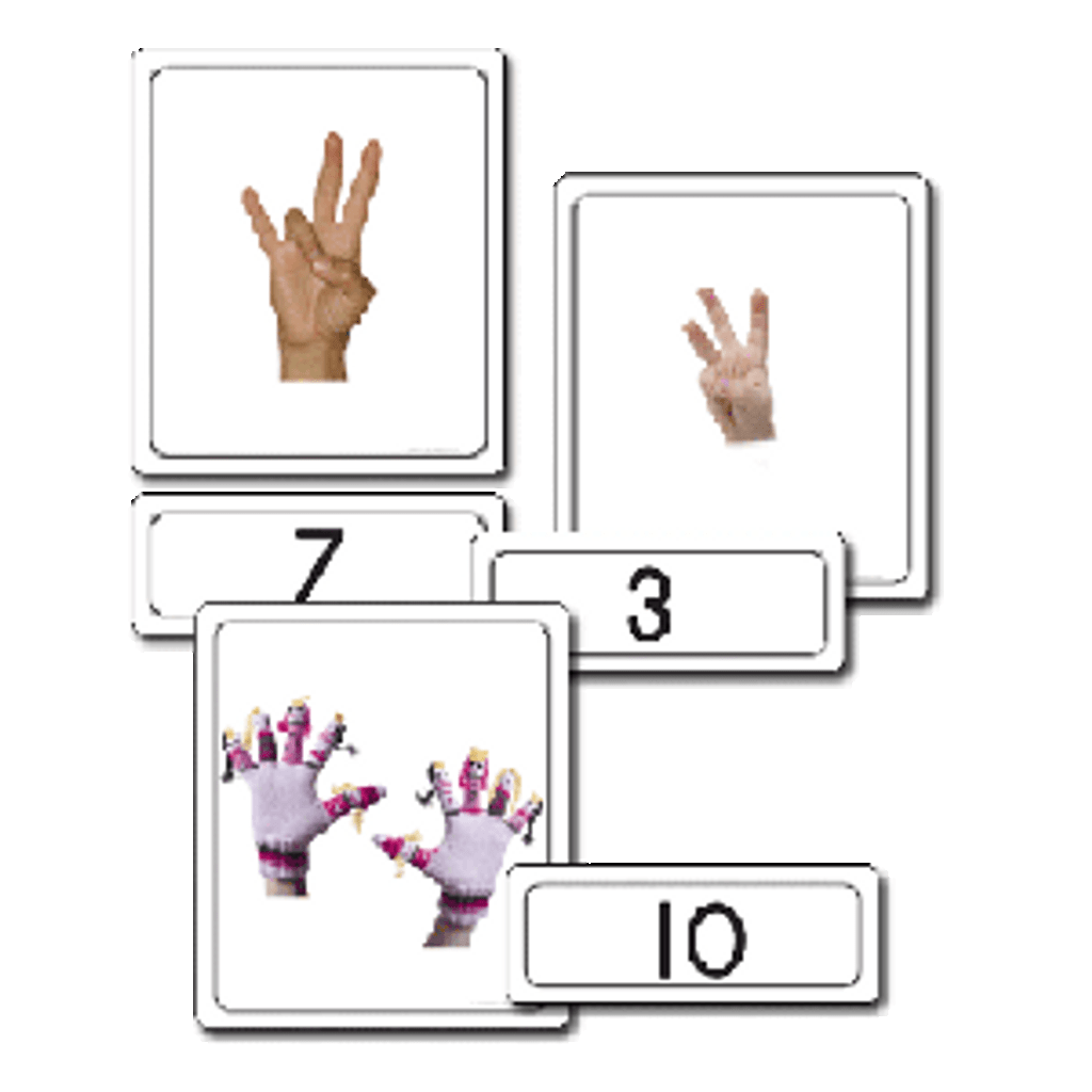Counting 1-10 Set