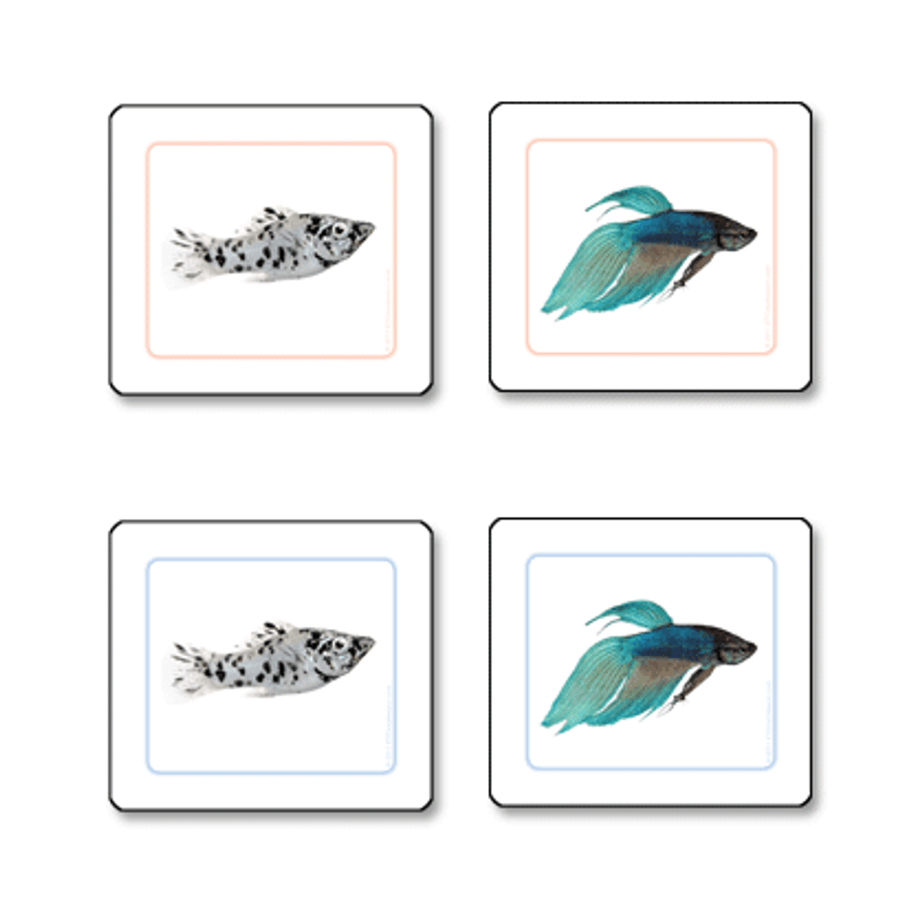 Fish Matching Cards pvc