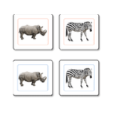 African Animals - Matching Cards