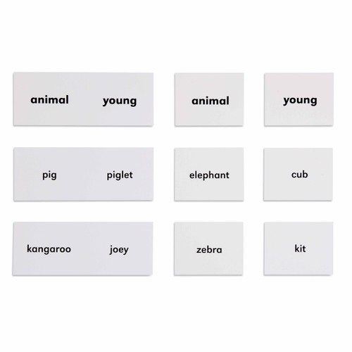 Animals And Their Young