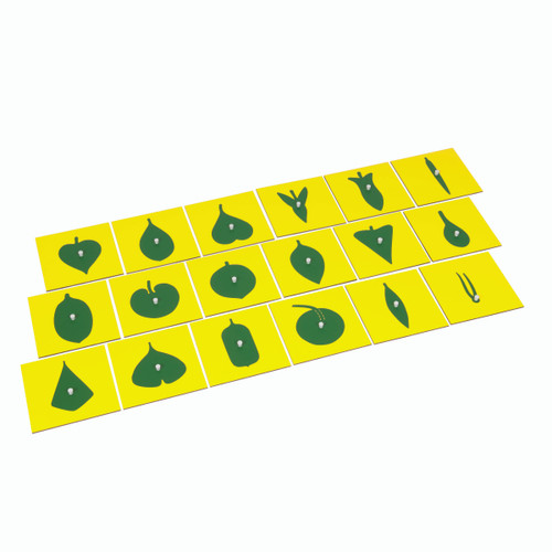 Contents Of The Botany Cabinet