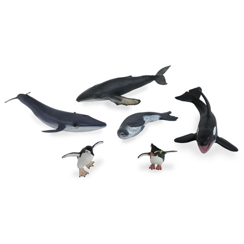 Animals from Antarctic Habitats