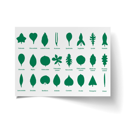 Botany Cabinet Control Chart ETC Botany Cabinet Control Chart ETC