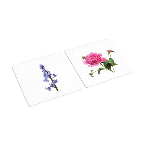Flowers and Trees Sorting Cards-last one