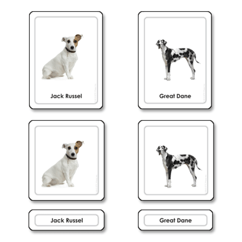 Dogs - 3 Part Cards (Kit 2 )