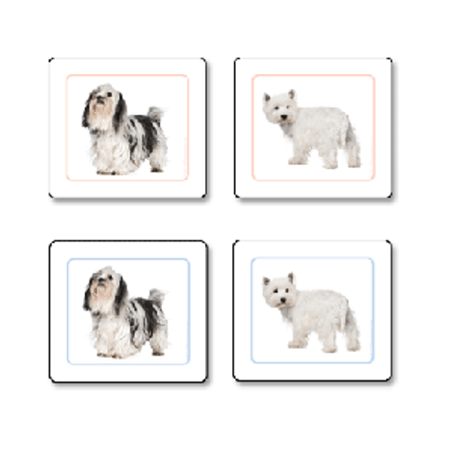 Dogs Matching Cards Kit 1 pvc