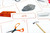 Sink and Float Sorting Activity